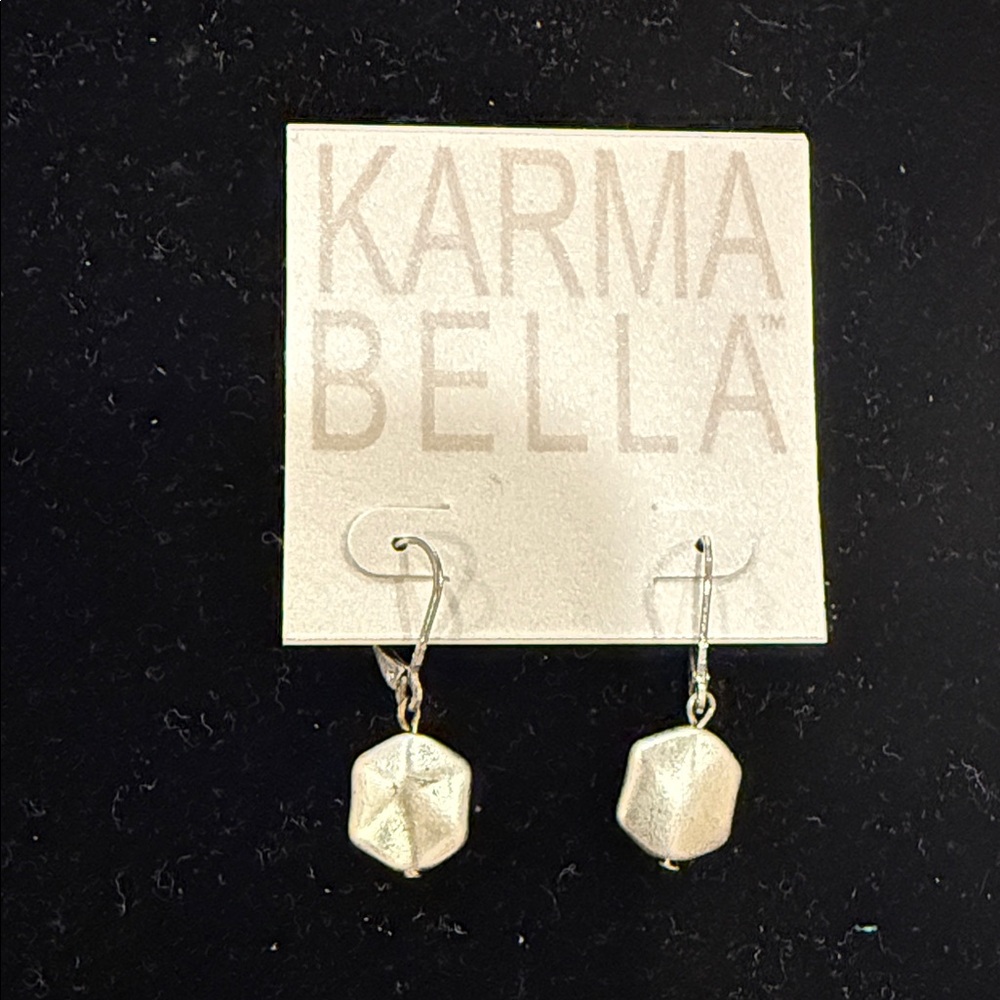 Abella Faceted Silver Drop Earrings